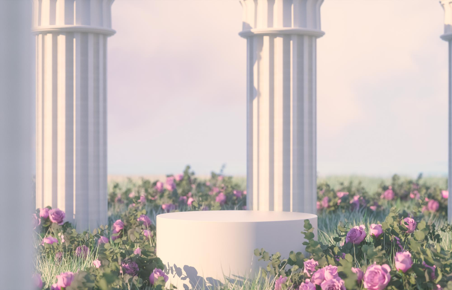 Hình nền, background, nền, cỏ, bãi cỏ, hoa, flower, bệ đỡ, podium, quảng cáo 26
