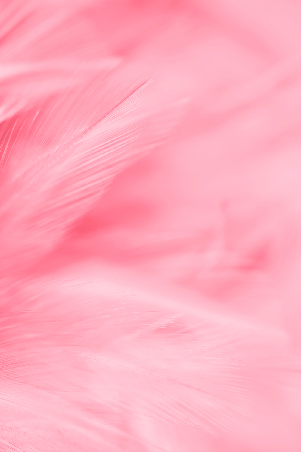 Ánh sáng, light, color gradient, màu hồng, pink, gradient, nền, hình nền, background 9