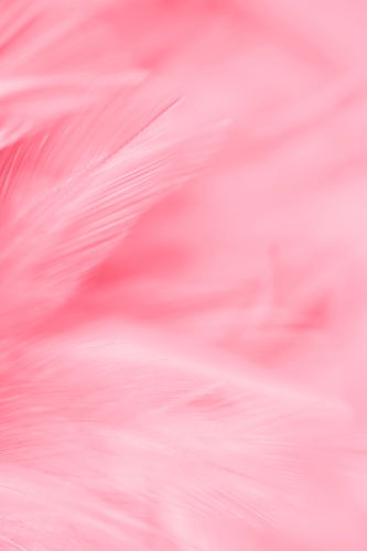 Ánh sáng, light, color gradient, màu hồng, pink, gradient, nền, hình nền, background 9