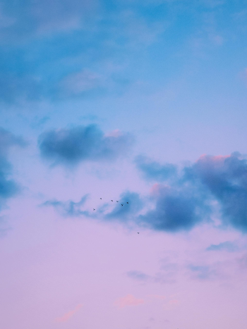 Mây, trời, màu tím, màu hồng, nền, clouds, sky, purple, pink, background -Andre Moura 2