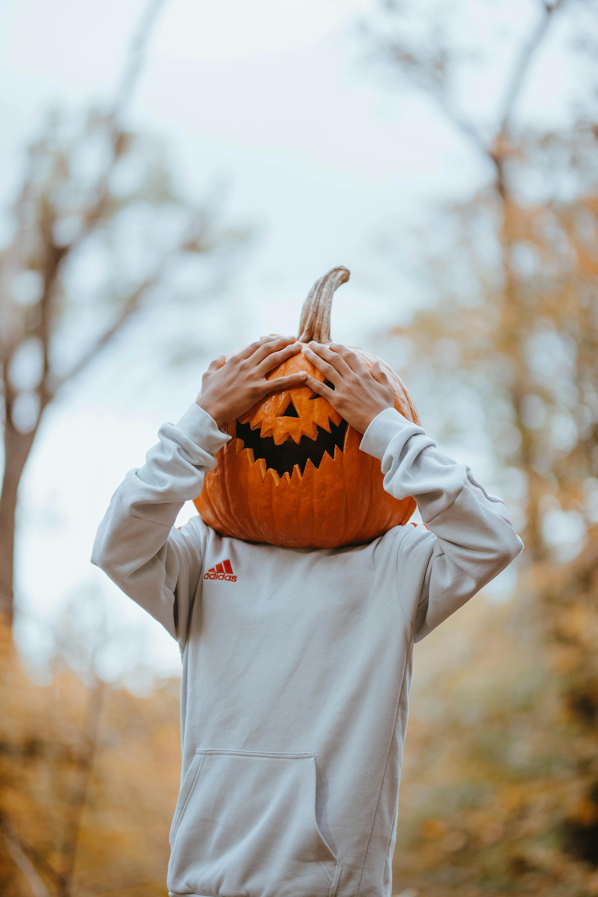 Bí đỏ, pumpkin, halloween, hóa trang, lễ hội hóa trang, lễ hội ma quái, festival - Bryant's Juarez