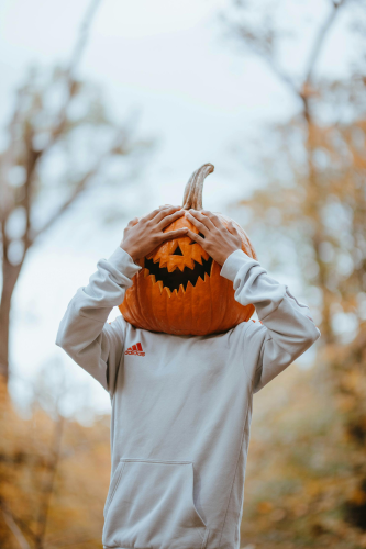 Bí đỏ, pumpkin, halloween, hóa trang, lễ hội hóa trang, lễ hội ma quái, festival - Bryant's Juarez