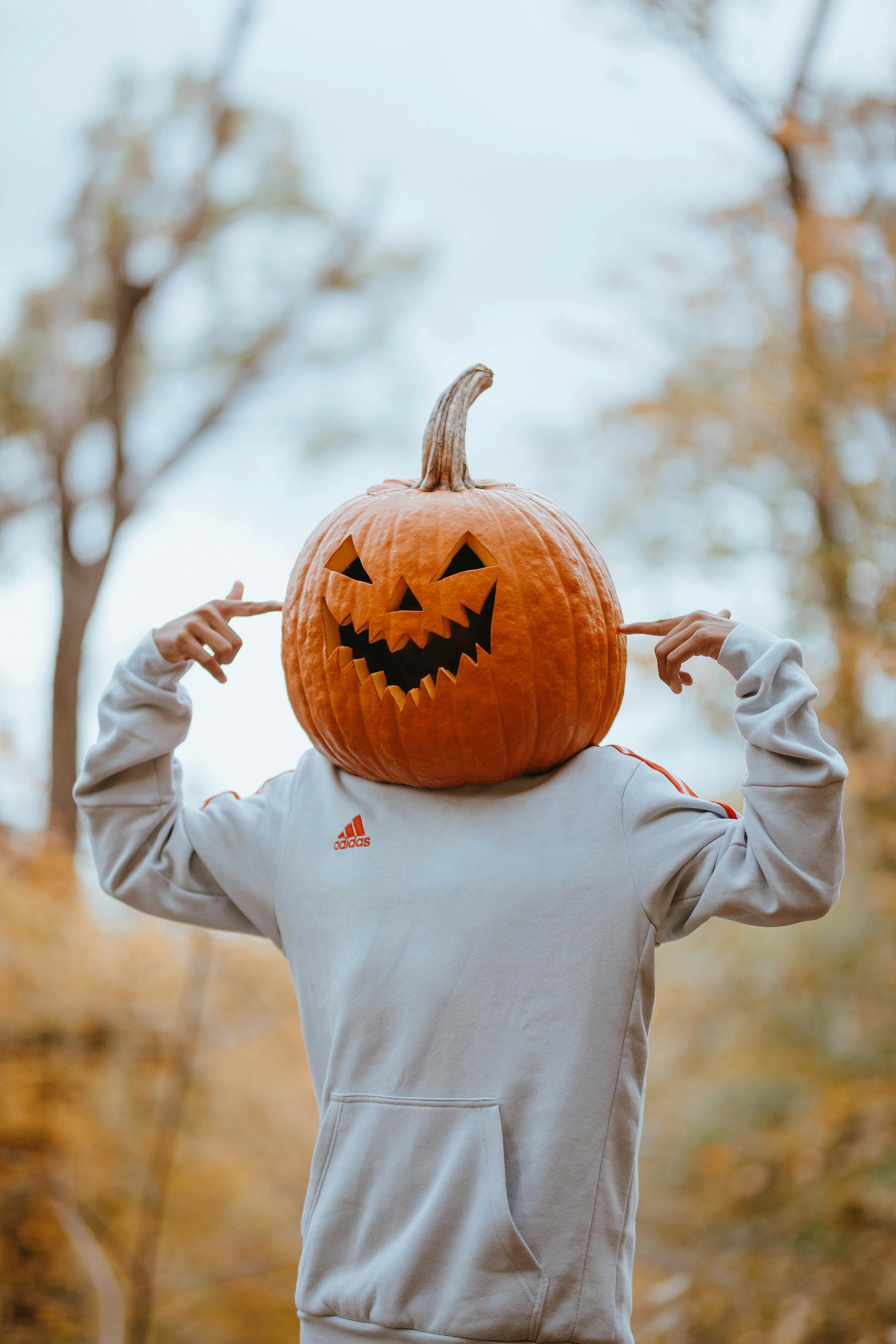 Bí đỏ, pumpkin, halloween, hóa trang, lễ hội hóa trang, lễ hội ma quái, festival - Bryant's Juarez 1