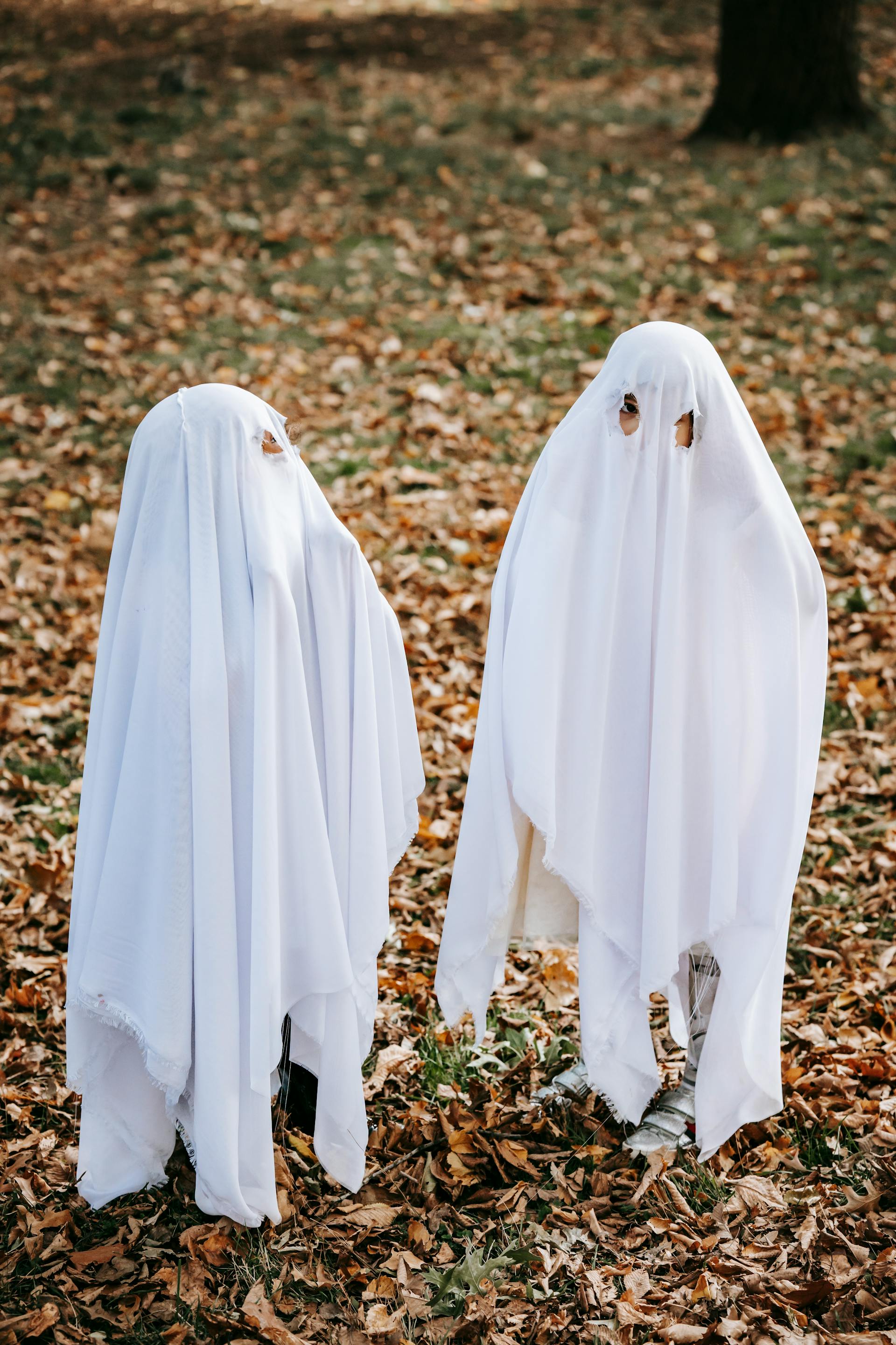 Halloween, con ma, ghost, lễ lội hóa trang, lễ hội, festival, sự kiện, event, horrible - Charles Parker