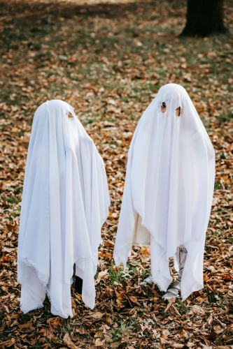 Halloween, con ma, ghost, lễ lội hóa trang, lễ hội, festival, sự kiện, event, horrible - Charles Parker