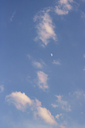 Mây, trời, nền, hình nền, clouds, sky, background -Feyza Daştan