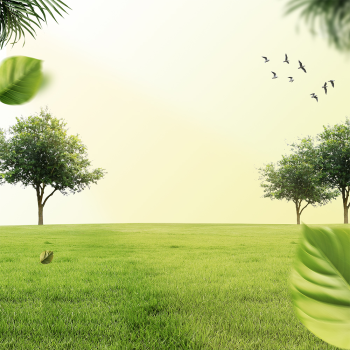 Thiên nhiên, natural, đồng cỏ, cánh đồng, cỏ, grass, sông, bầu trời, sky, hình nền, nền, background, green 3
