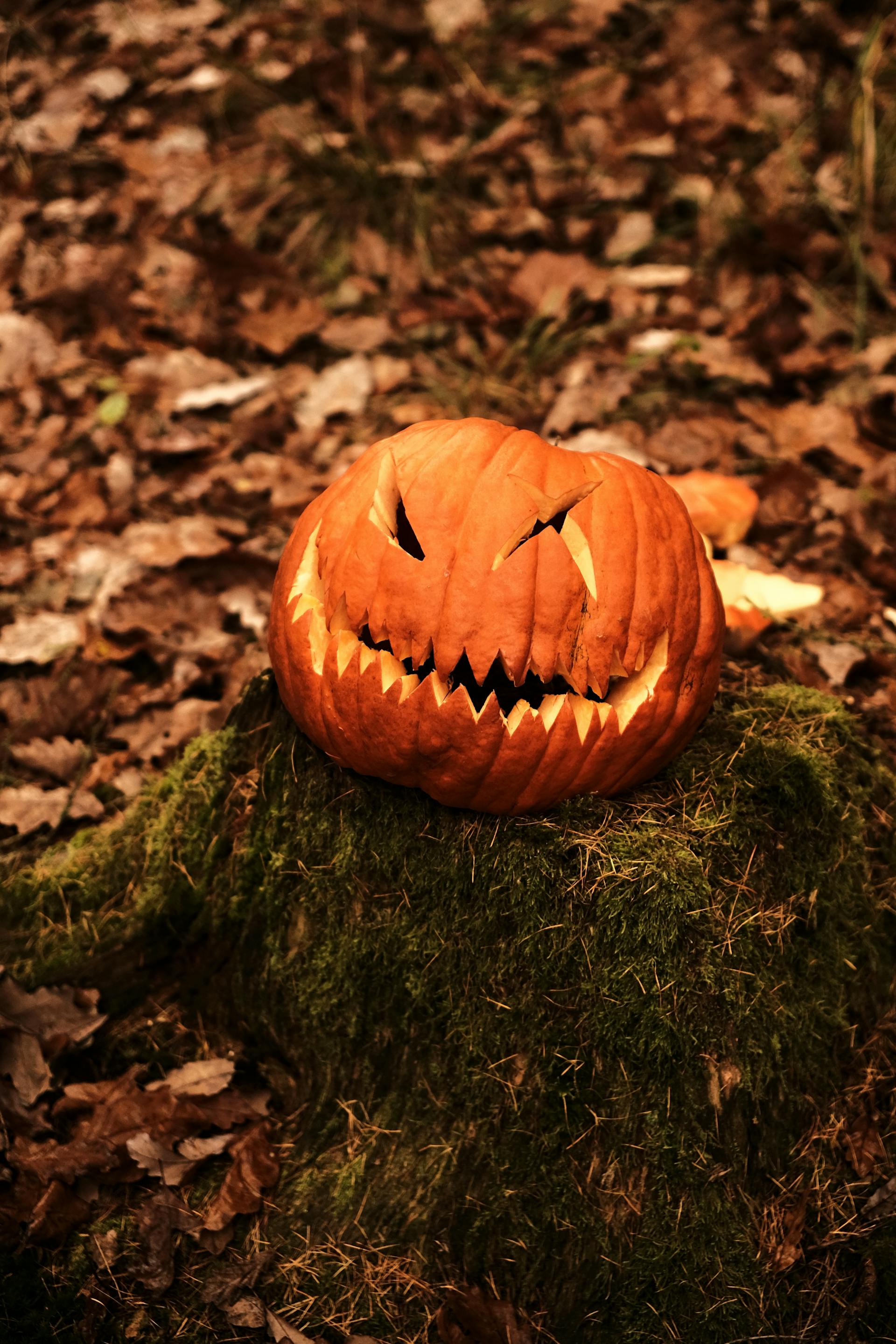 Halloween, bí đỏ, bí ngô, pumpkin, lễ lội hóa trang, lễ hội, festival, sự kiện, event, horrible - Jiri Ikonomidis
