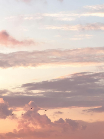 Mây, trời, nền, hình nền, clouds, sky, background -Laura Cleffmann
