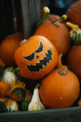 Halloween, bí đỏ, bí ngô, pumpkin, lễ lội hóa trang, lễ hội, festival, sự kiện, event, horrible - Mathias Reding