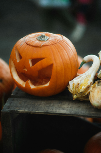 Halloween, bí đỏ, bí ngô, pumpkin, lễ lội hóa trang, lễ hội, festival, sự kiện, event, horrible - Mathias Reding 2