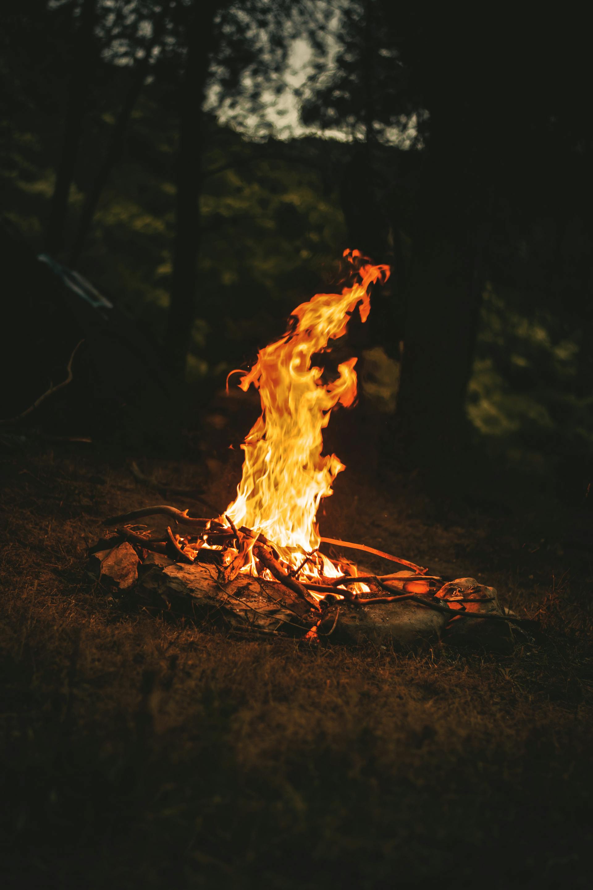 Lửa, ngọn lửa, lửa trừu tượng, u ám, fire, flame, abstract fire, dark- Mohamed elamine M'siouri
