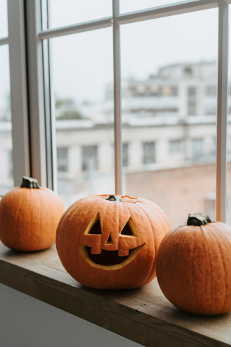 Halloween, bí đỏ, bí ngô, pumpkin, lễ lội hóa trang, lễ hội, festival, sự kiện, event, horrible - olia danilevich
