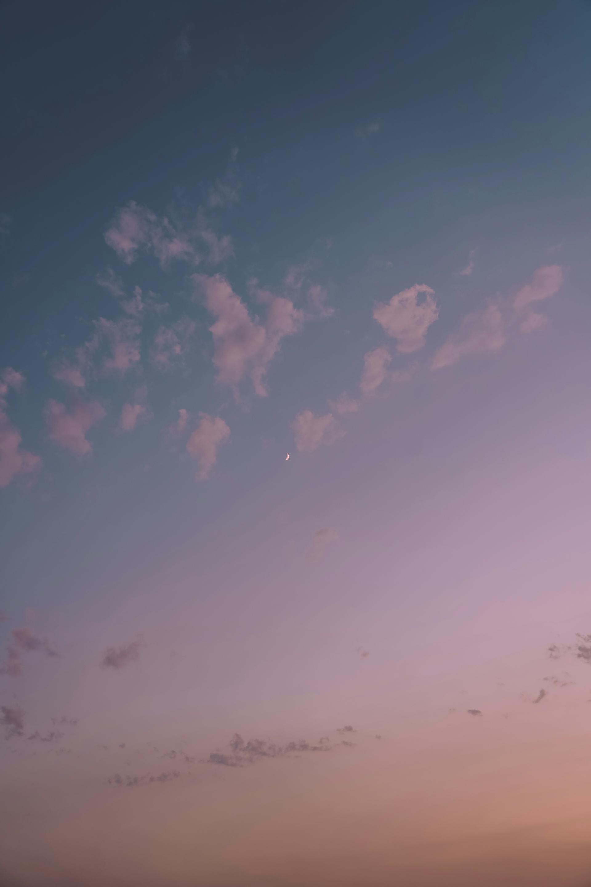 Mây, trời, màu tím, màu hồng, nền, clouds, sky, purple, pink, background - osama naser