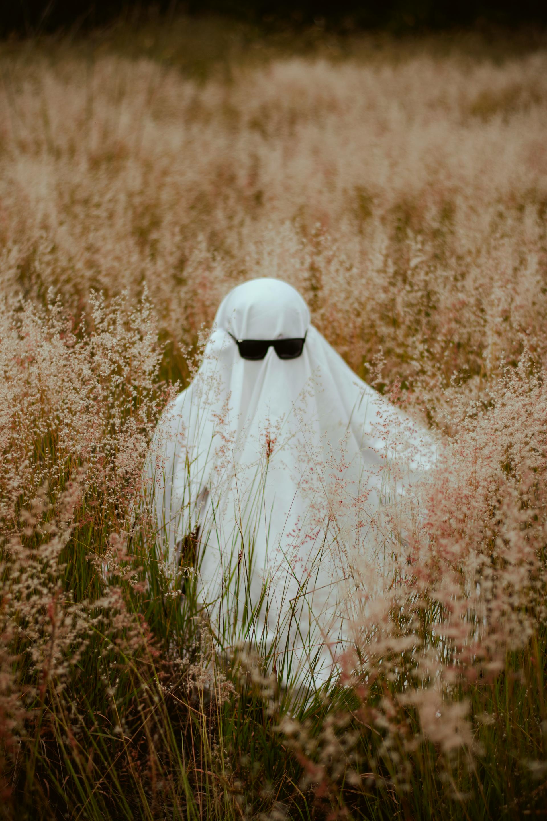 Halloween, con ma, ghost, lễ lội hóa trang, lễ hội, festival, sự kiện, event, horrible - César O'neill 1