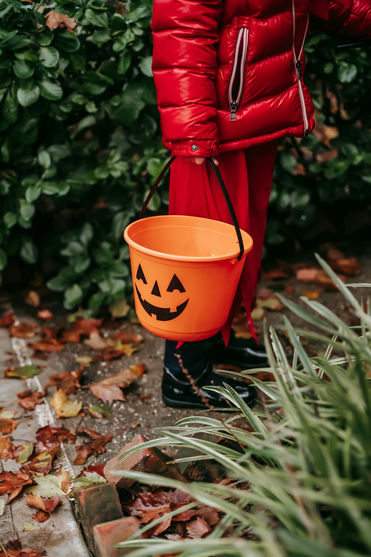 Lễ hội hóa trang, xô đựng kẹo, dễ thương, đồ trang trí halloween, khuôn mặt kinh dị, Halloween, candy bucket, cute, halloween decorations, horror face - Charles Parker 6