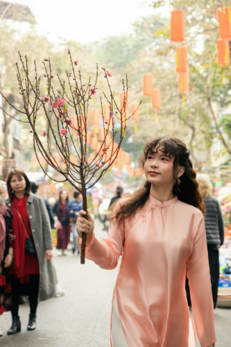 Cô gái, con gái, thiếu nữ, girl, Việt Nam, áo dài, truyền thống, traditional, Hồ Gươm, Hà Nội - Dang Hong 52