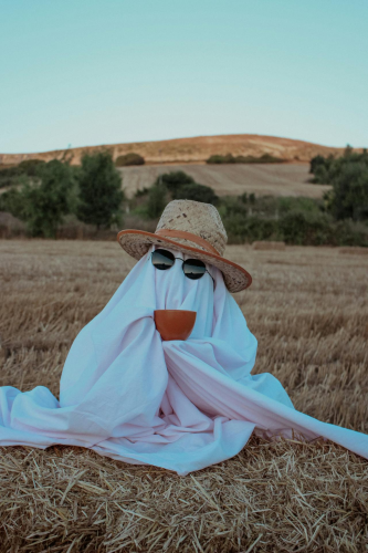 Ma, ghost, con ma, halloween, hóa trang, lễ hội hóa trang, lễ hội ma quái, festival - Ebru DOĞAN 14