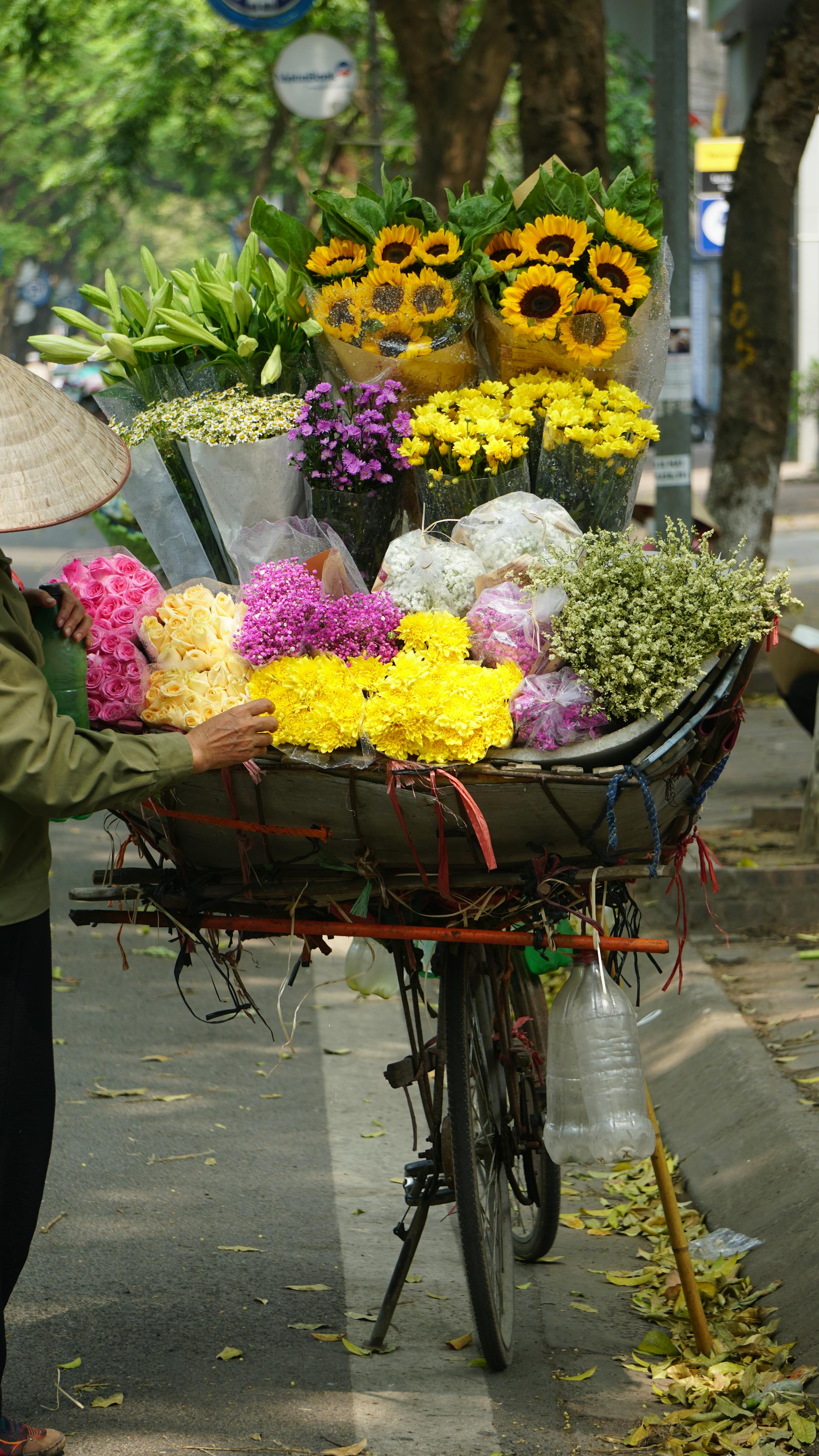 Xe hoa, xe bán hoa, Hà Nội, Việt Nam, phong cảnh Việt Nam, flower - Felix Young