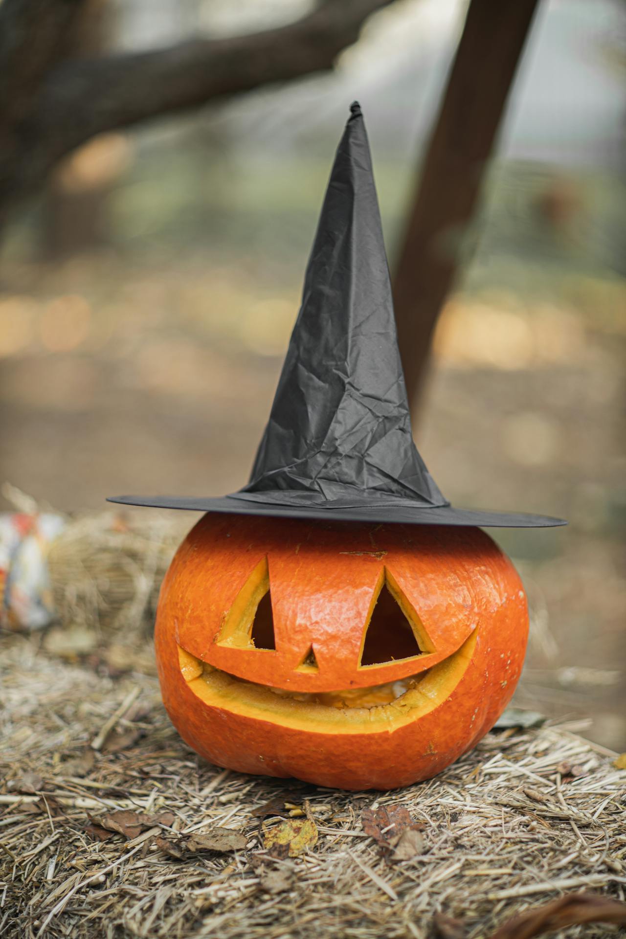 Bí đỏ, trang trí halloween, điêu khắc, kinh dị, lễ hội, pumpkin, halloween decoration, sculpture, horror, festival,  - Gunky