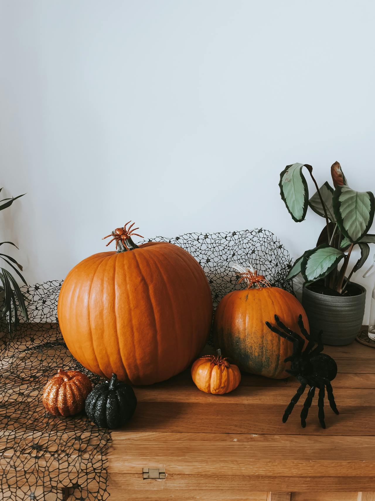 Bí đỏ, halloween, trang trí, không khí halloween, mùa thu, pumpkin, halloween, decoration, halloween atmosphere, autumn - Karola G 10