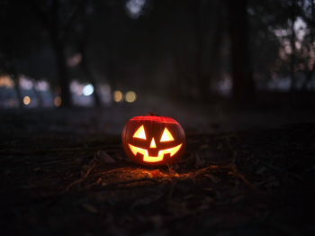 Bí đỏ, trang trí halloween, lễ hội, ánh đèn, đêm tối, điêu khắc, kinh dị, halloween decoration, festival, lights, dark, sculpture, horror  - pixabay 6