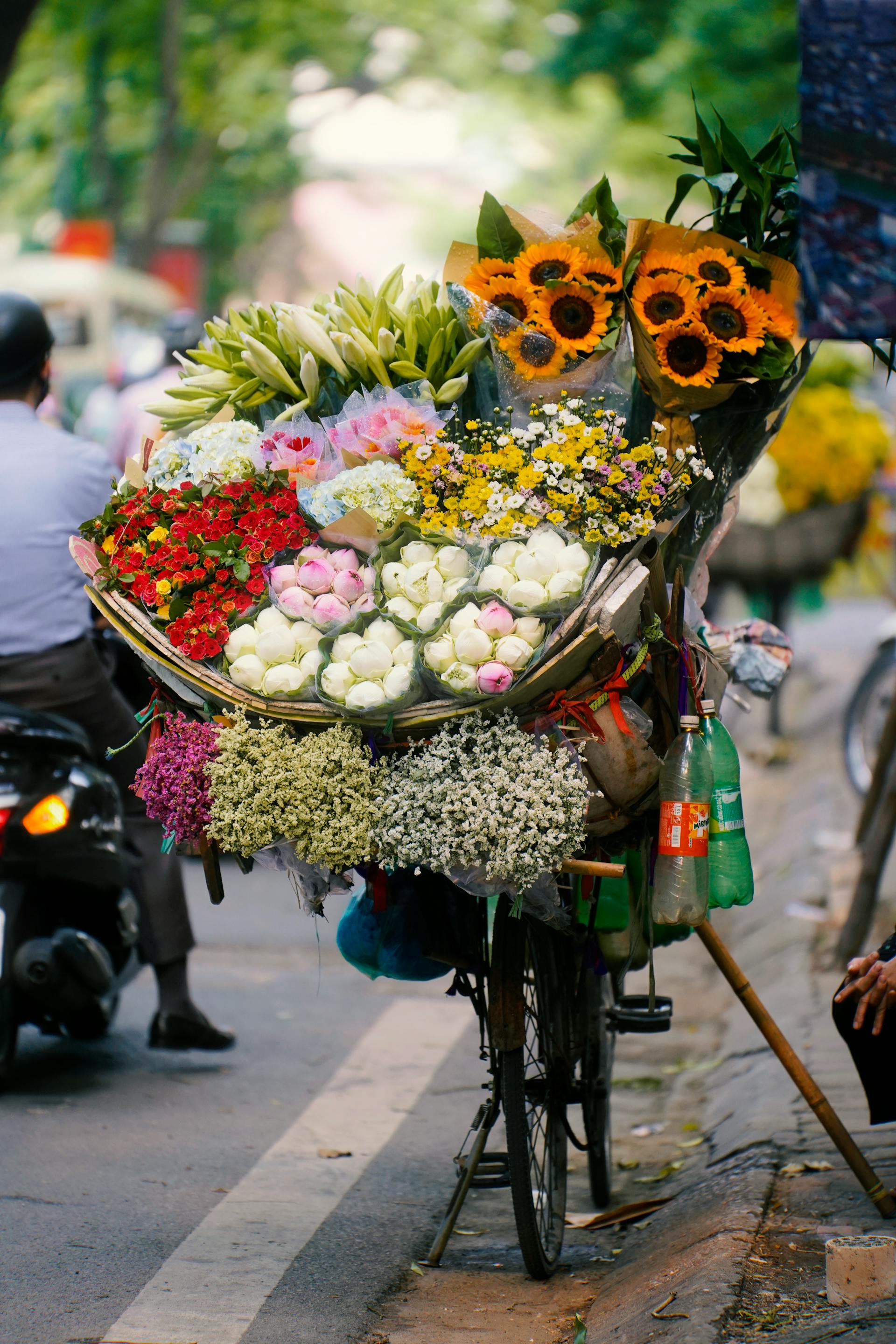 Xe hoa, xe bán hoa, Hà Nội, Việt Nam, phong cảnh Việt Nam, flower - Hoa Đình Lê