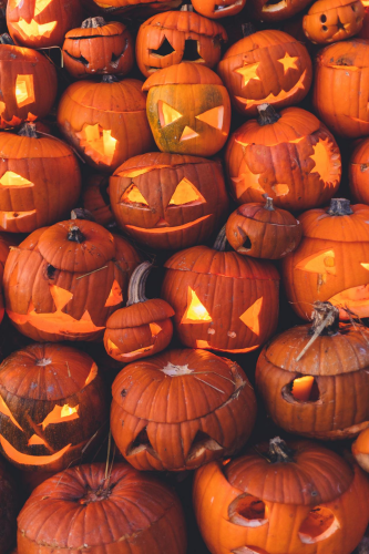 Bí đỏ, halloween, trang trí, kinh dị, không khí halloween, mùa thu, pumpkin, halloween, decoration, halloween atmosphere, autumn - Karola G 2