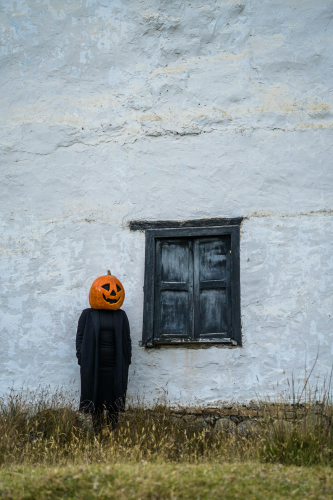Lễ hội hóa trang, nhân vật , kinh dị, khuôn mặt bí đỏ, halloween, character, horror, pumpkin face - Juan Felipe Ramírez 26