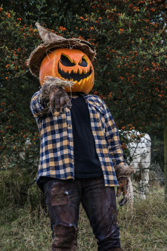 Halloween, hóa trang , kinh dị, hóa trang bí đỏ, bù nhìn, lễ hội hóa trang, costume, horror, pumpkin costume, scarecrow, carnival - Juan Felipe Ramírez 26