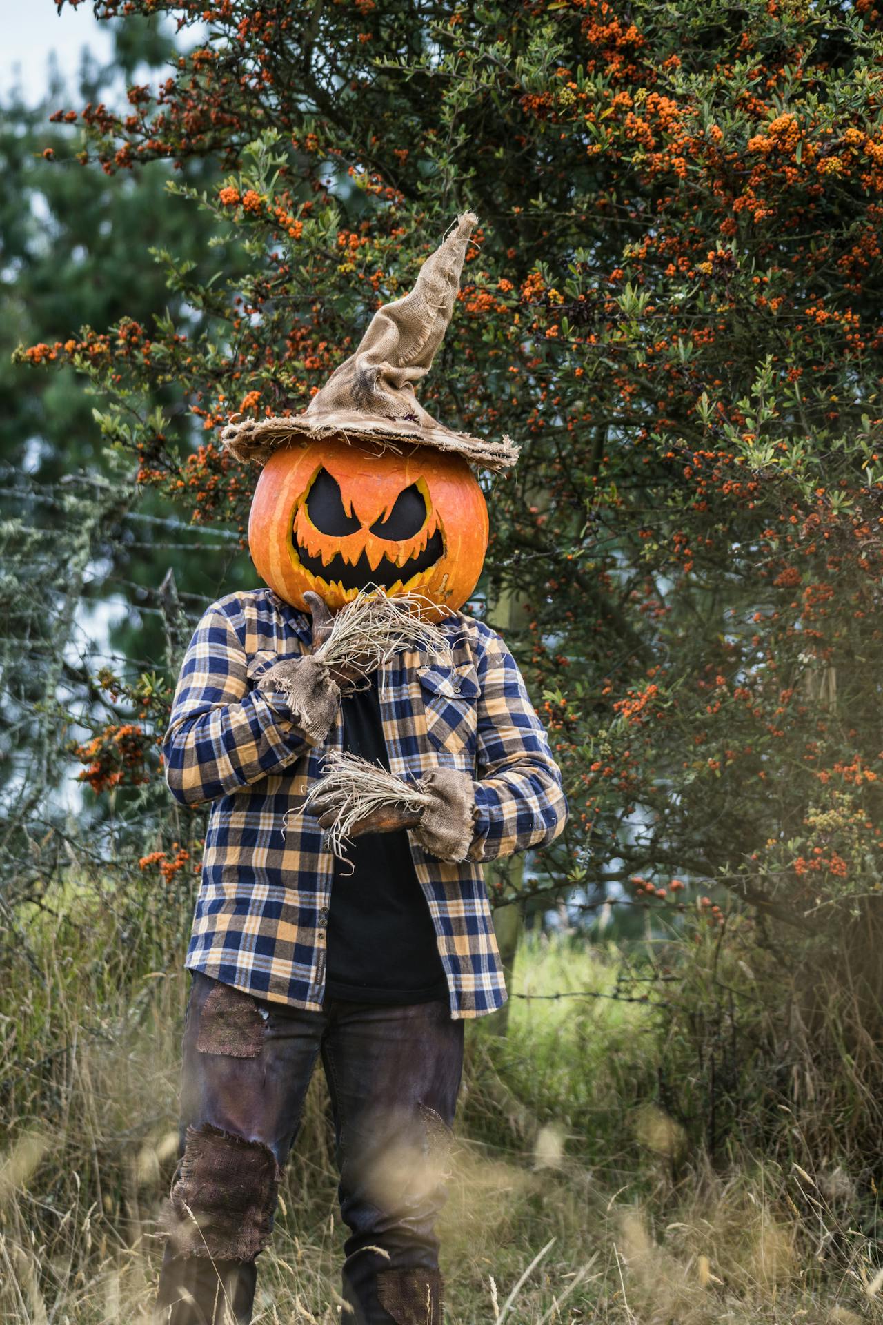 Halloween, hóa trang , kinh dị, hóa trang bí đỏ, bù nhìn, lễ hội hóa trang, costume, horror, pumpkin costume, scarecrow, carnival - Juan Felipe Ramírez 29