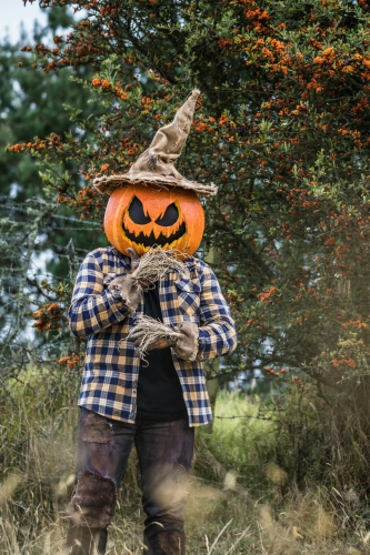 Halloween, hóa trang , kinh dị, hóa trang bí đỏ, bù nhìn, lễ hội hóa trang, costume, horror, pumpkin costume, scarecrow, carnival - Juan Felipe Ramírez 29