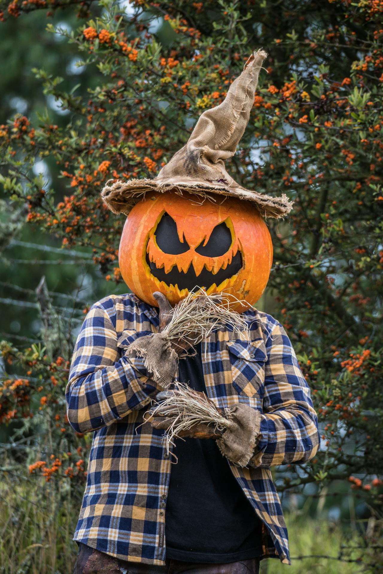 Halloween, hóa trang , kinh dị, hóa trang bí đỏ, bù nhìn, lễ hội hóa trang, costume, horror, pumpkin costume, scarecrow, carnival - Juan Felipe Ramírez