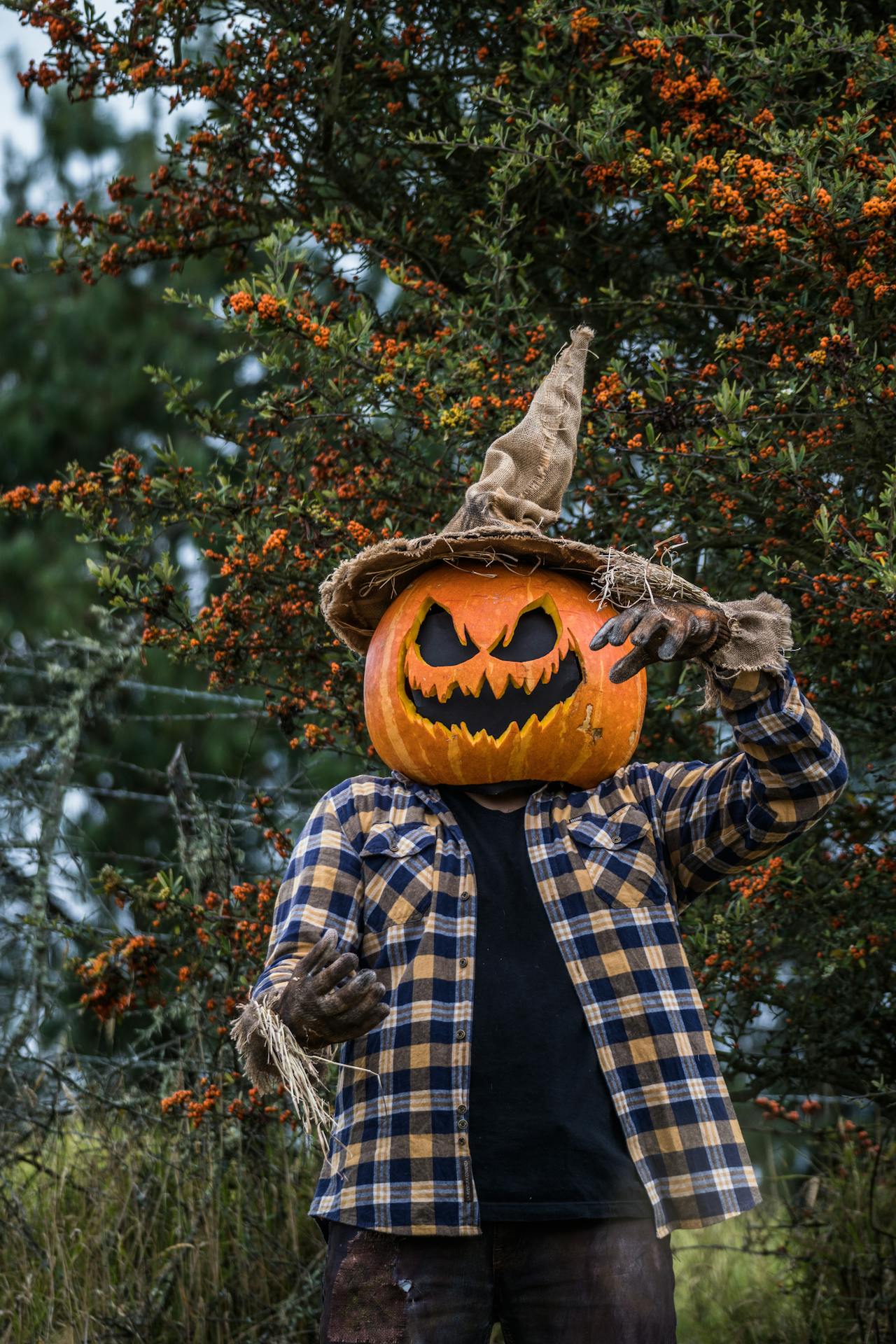 Halloween, hóa trang , kinh dị, hóa trang bí đỏ, bù nhìn, lễ hội hóa trang, costume, horror, pumpkin costume, scarecrow, carnival - Juan Felipe Ramírez 30