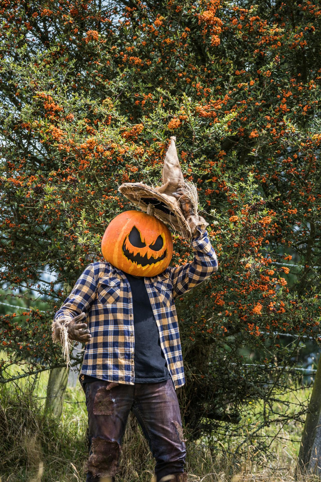 Halloween, hóa trang , kinh dị, hóa trang bí đỏ, bù nhìn, lễ hội hóa trang, costume, horror, pumpkin costume, scarecrow, carnival - Juan Felipe Ramírez 2