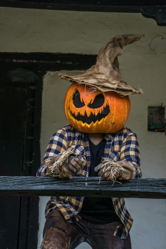 Halloween, hóa trang , kinh dị, hóa trang bí đỏ, bù nhìn, lễ hội hóa trang, costume, horror, pumpkin costume, scarecrow, carnival - Juan Felipe Ramírez 25