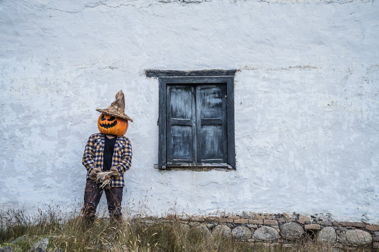 Halloween, hóa trang , kinh dị, hóa trang bí đỏ, bù nhìn, lễ hội hóa trang, costume, horror, pumpkin costume, scarecrow, carnival - Juan Felipe Ramírez 18