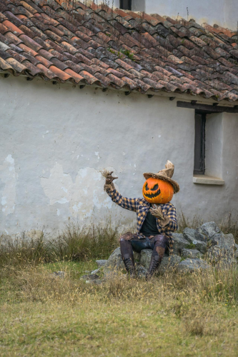 Halloween, hóa trang , kinh dị, hóa trang bí đỏ, bù nhìn, lễ hội hóa trang, costume, horror, pumpkin costume, scarecrow, carnival - Juan Felipe Ramírez 15