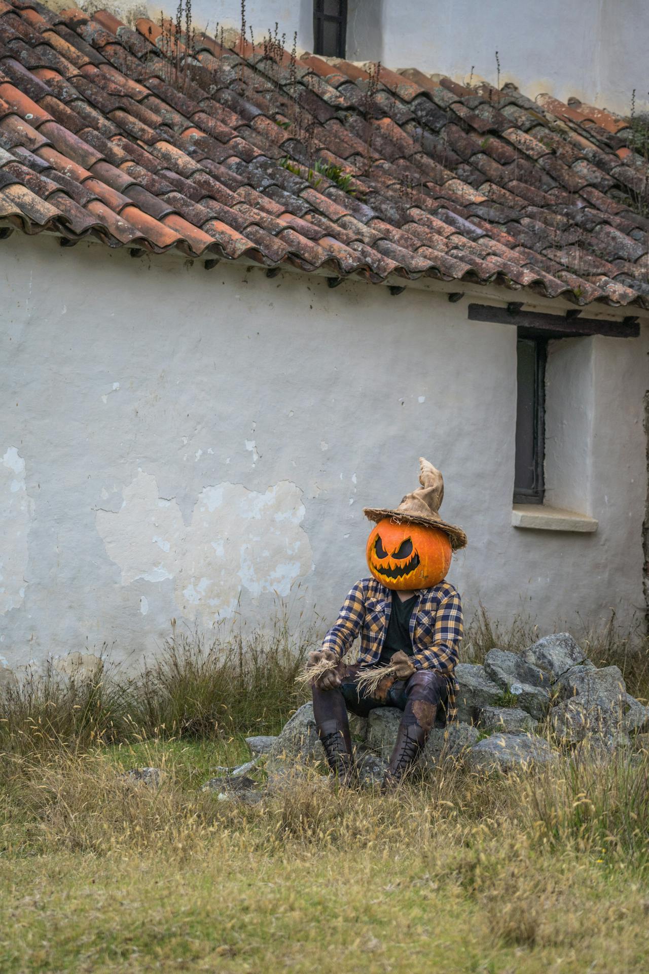 Halloween, hóa trang , kinh dị, hóa trang bí đỏ, bù nhìn, lễ hội hóa trang, costume, horror, pumpkin costume, scarecrow, carnival - Juan Felipe Ramírez 14