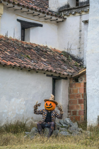 Halloween, hóa trang , kinh dị, hóa trang bí đỏ, bù nhìn, lễ hội hóa trang, costume, horror, pumpkin costume, scarecrow, carnival - Juan Felipe Ramírez 10