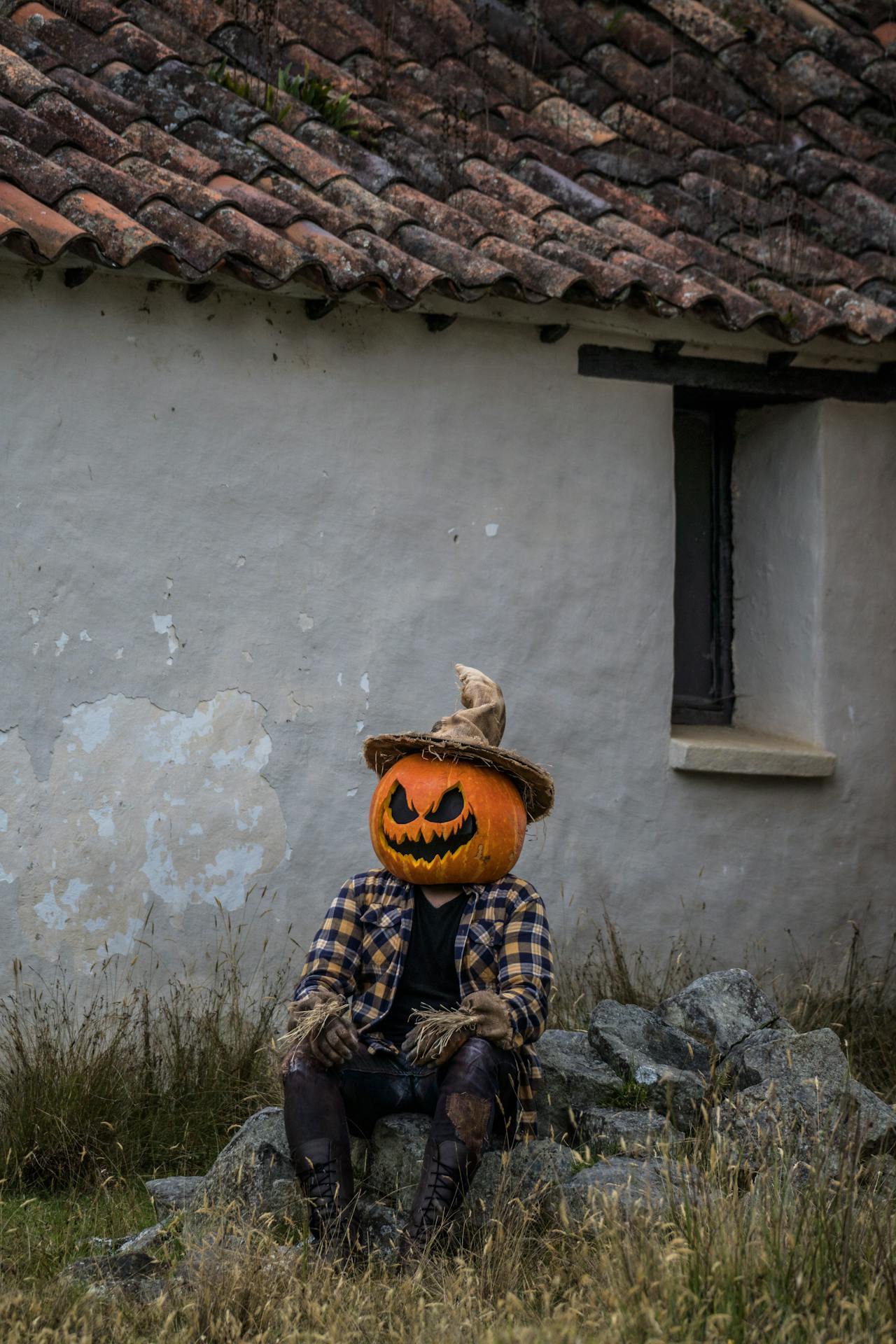 Halloween, hóa trang , kinh dị, hóa trang bí đỏ, bù nhìn, lễ hội hóa trang, costume, horror, pumpkin costume, scarecrow, carnival - Juan Felipe Ramírez 13