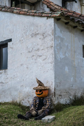 Halloween, hóa trang , kinh dị, hóa trang bí đỏ, bù nhìn, lễ hội hóa trang, costume, horror, pumpkin costume, scarecrow, carnival - Juan Felipe Ramírez 12