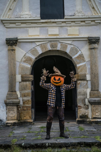 Halloween, hóa trang , kinh dị, hóa trang bí đỏ, bù nhìn, lễ hội hóa trang, costume, horror, pumpkin costume, scarecrow, carnival - Juan Felipe Ramírez 5
