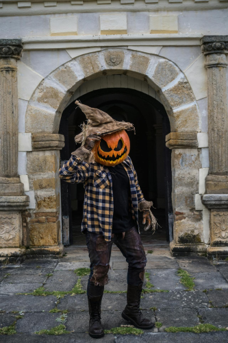 Halloween, hóa trang , kinh dị, hóa trang bí đỏ, bù nhìn, lễ hội hóa trang, costume, horror, pumpkin costume, scarecrow, carnival - Juan Felipe Ramírez 6