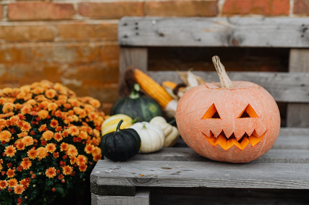 Bí đỏ, dụng cụ trang trí halloweenm kinh dị, không khí halloween, Halloween horror decorations, halloween atmosphere   - pixabay 4