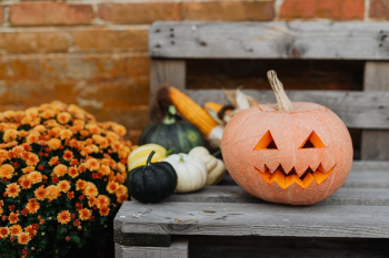 Bí đỏ, dụng cụ trang trí halloweenm kinh dị, không khí halloween, Halloween horror decorations, halloween atmosphere   - pixabay 4