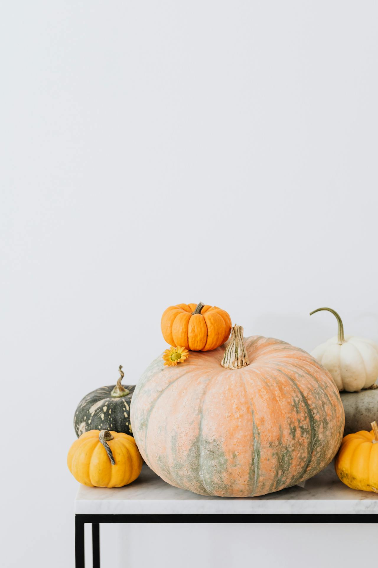 Bí đỏ, halloween, trang trí, không khí halloween, mùa thu, pumpkin, halloween, decoration, halloween atmosphere, autumn - Karola G