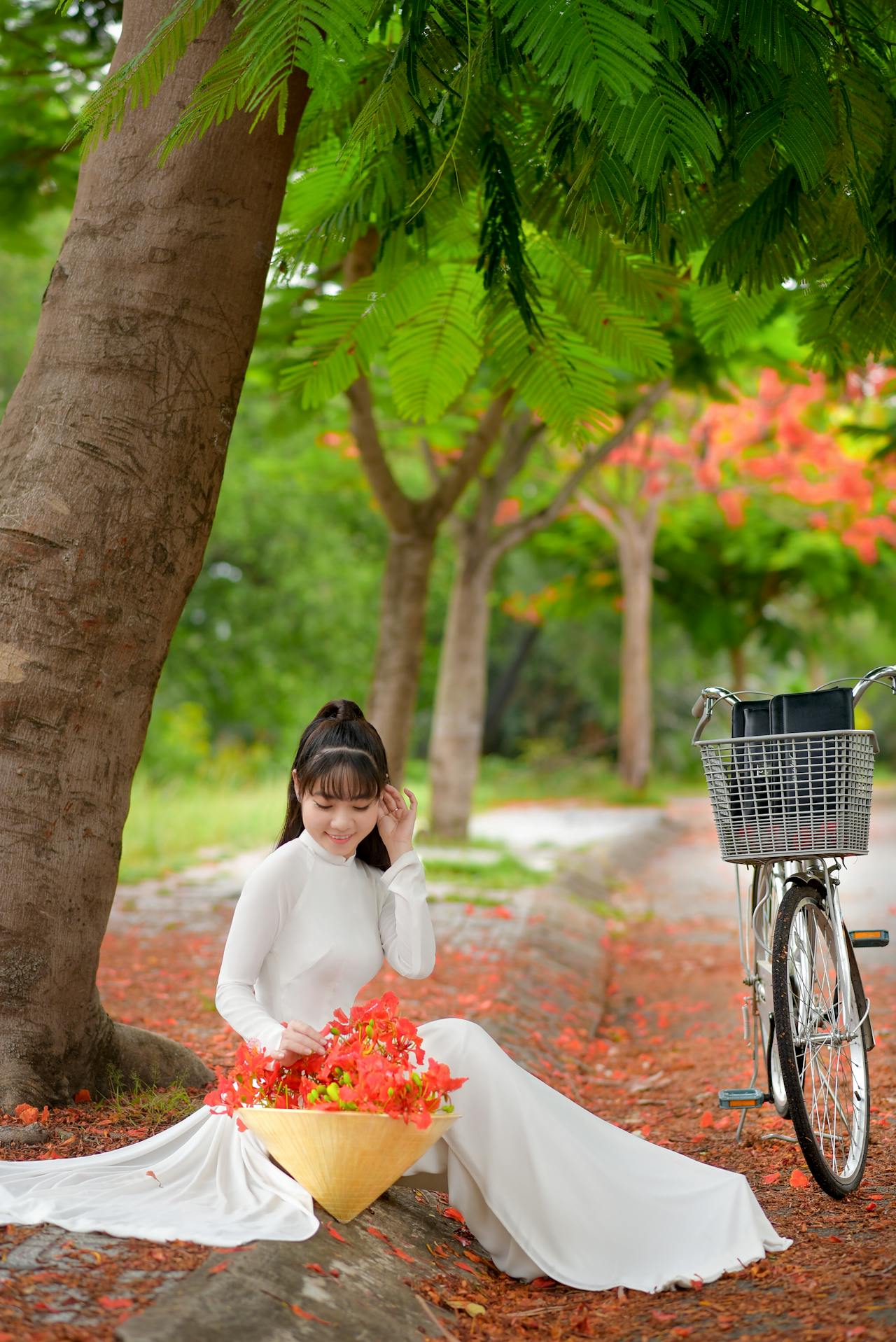 Thiếu nữ, cô gái, áo dài, truyền thống, hoa phượng, young lady, girl, ao dai, tradition, royal poinciana flower - Phát trương 4