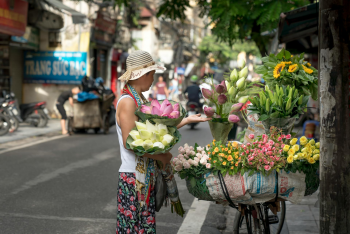 Hà Nội, cổng làng, làng cổ Hà Nội, Việt Nam, phong cảnh Việt Nam, xe hoa, chợ hoa - Quang Nguyen Vinh 1