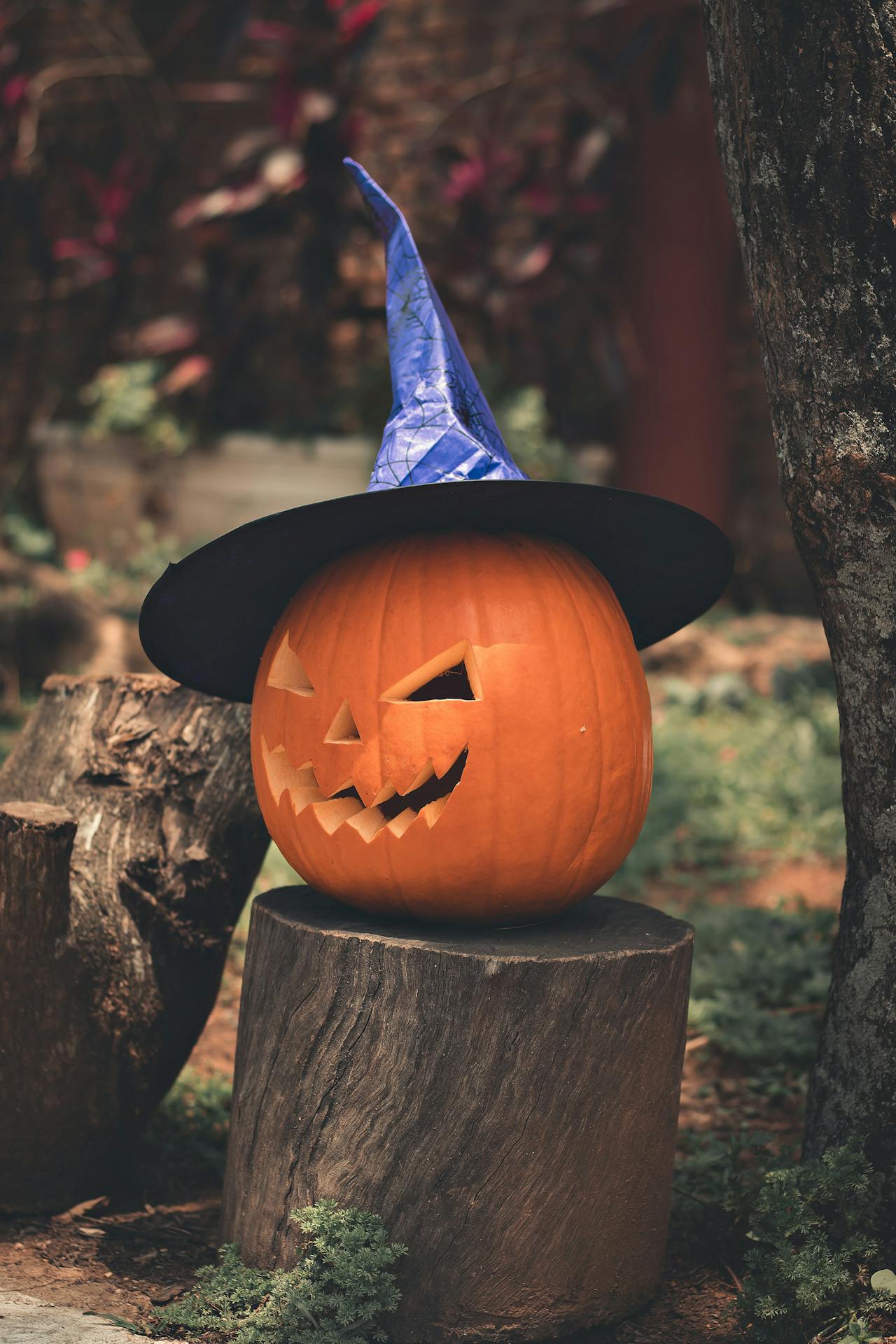 Bí đỏ, trang trí halloween, điêu khắc, kinh dị, lễ hội, pumpkin, halloween decoration, sculpture, horror, festival,  - Gunky 1